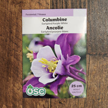 Columbine Earlybird Purple-White
