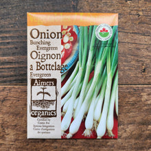 Organic 'Evergreen' shallot bunching