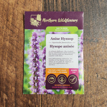 Hysope Anisée
