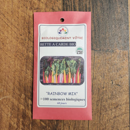 Organic 'Rainbow' Swiss chard