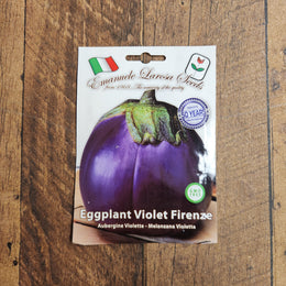 Eggplant 'Violetta Di Firenze'
