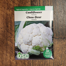  Cauliflower 'Twister'