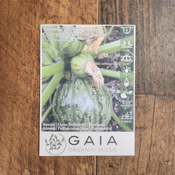 Zucchini vert rond bio
