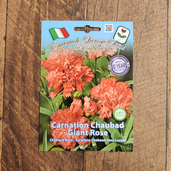 Giant Carnation Chabaud Pink