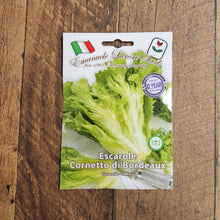 Illustration associée à Scarole Cornetto di Bordeaux, dans la gamme Weston. Cornetto di Bordeaux produit une scarole volumineuse à feuilles ondulées, dont le cœur se replie sur lui-même. Le visuel permet de repérer la référence et l’aspect présenté pour cette sélection. Les dimensions et les couleurs observées au jardin dépendent du stade de croissance et des conditions de culture.