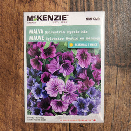 Malva mélange 'Sylvestris Mystic'