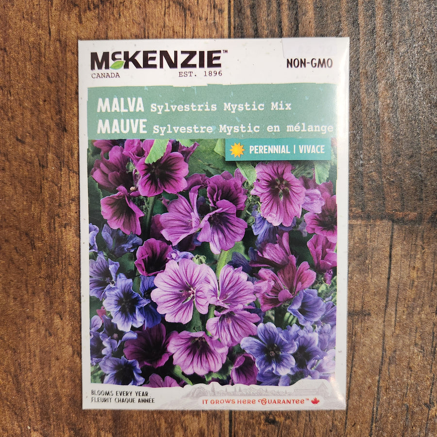 Malva mélange 'Sylvestris Mystic'