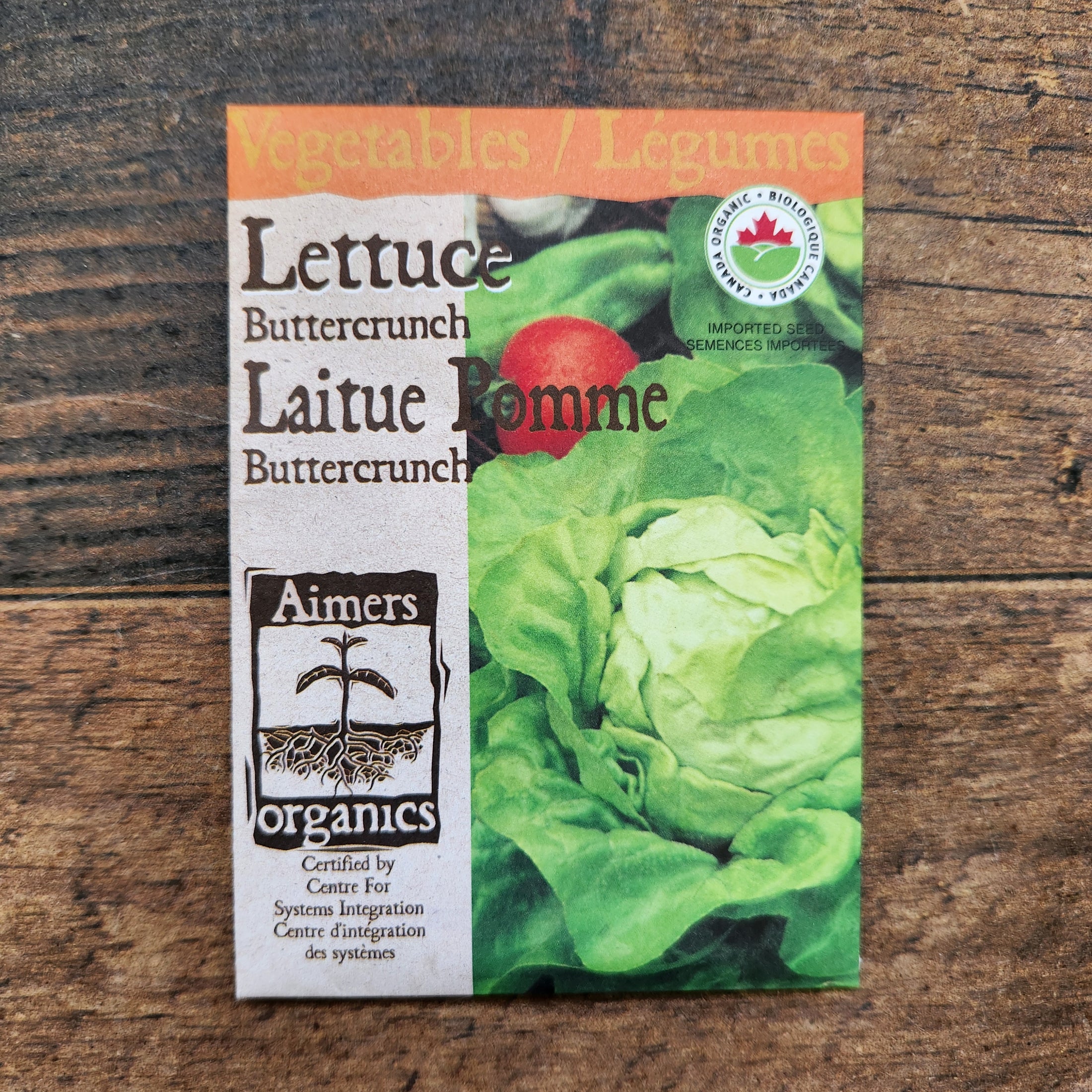 Organic 'Buttercrunch' head lettuce