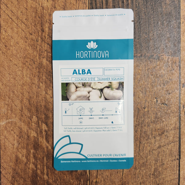 Summer Squash 'Alba'