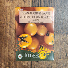 Yellow cherry tomato ‘Galina’ (<em>Solanum lycopersicum</em>)