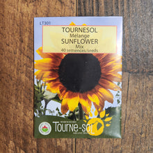 Mélange de tournesols bio