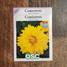 Coreopsis 'Early Sunrise'
