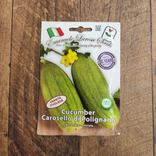 Cucumber 'Carosello di Polignano'