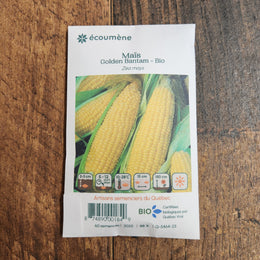 Organic 'Golden Bantam' corn