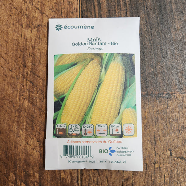 Maïs 'Golden Bantam' bio