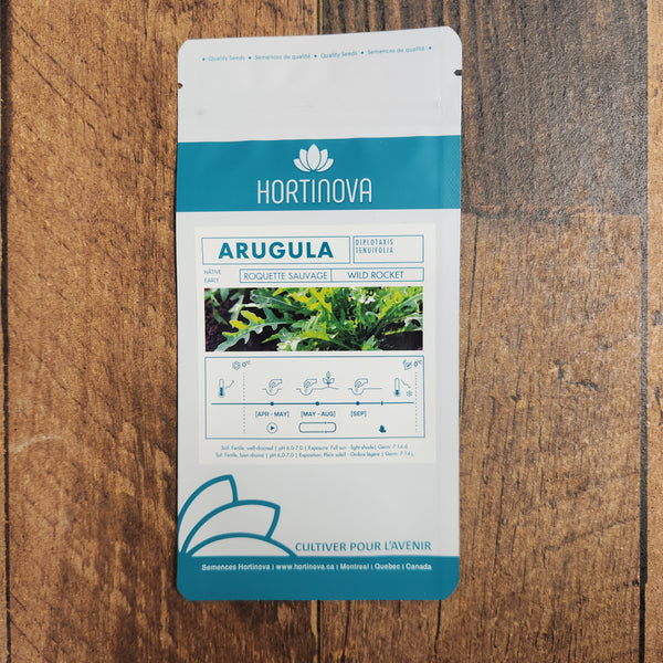 Wild Arugula 'ARUGULA'