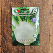 Fenouil anisé 'Romanesco'