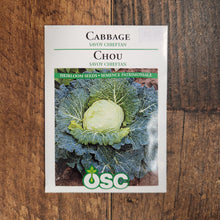 Cabbage 'Savoy Chieftain' 