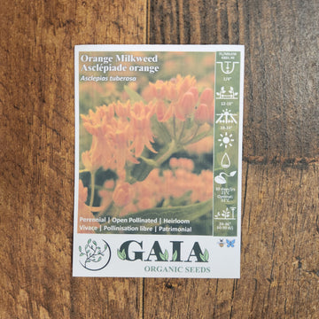 Asclépiade 'Orange Milkweed' bio