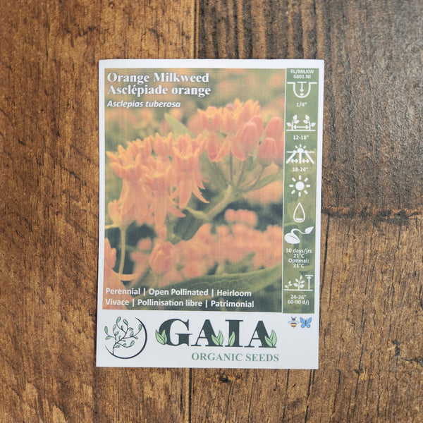 Milkweed 'Orange' organic