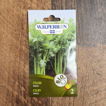 Celery Tango organic