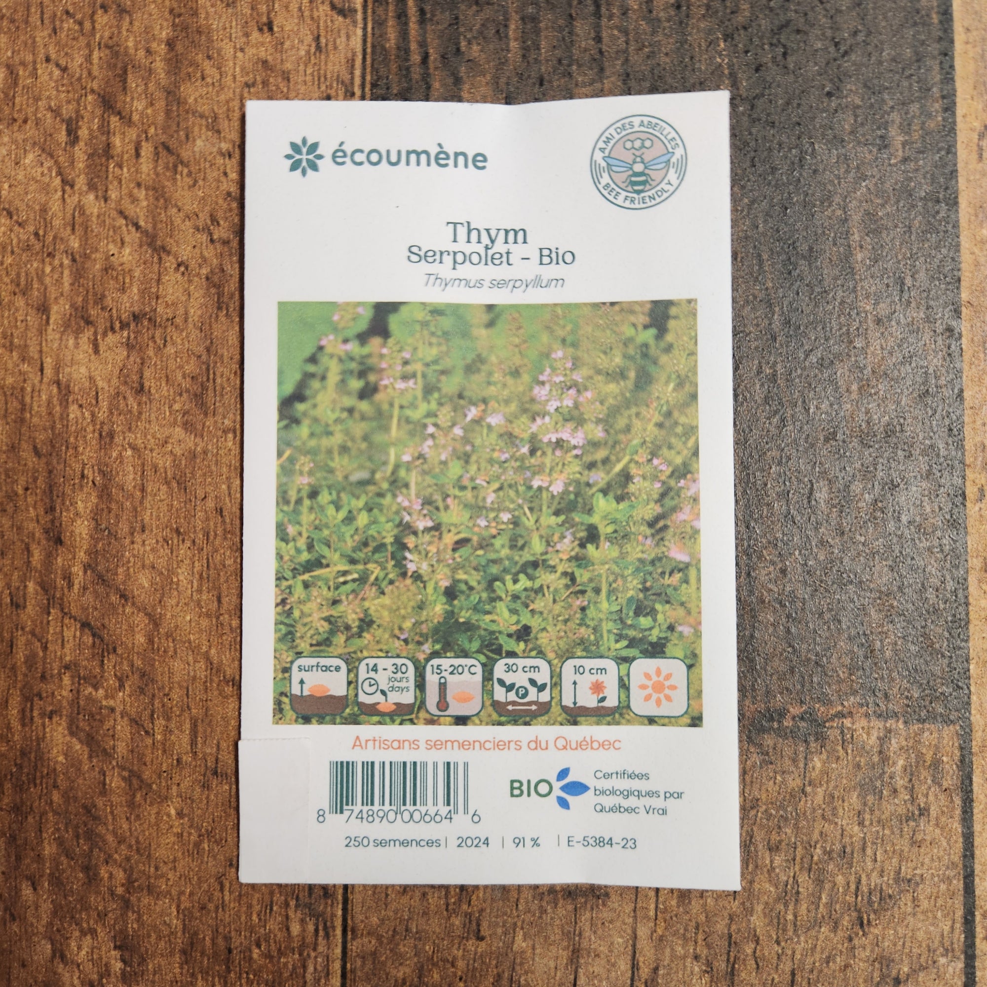 Thym serpolet bio
