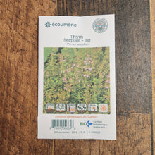 Thym serpolet bio
