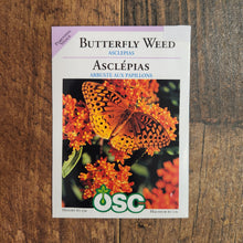 Butterfly Weed