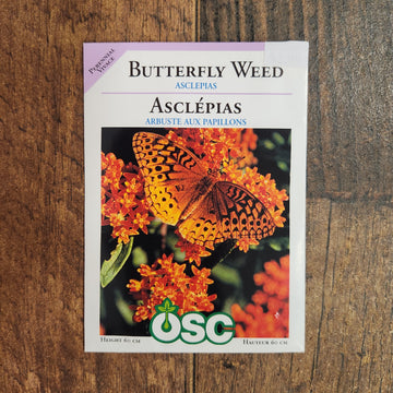 Butterfly Weed