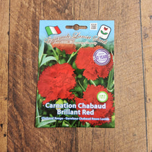 Carnation Chaubad Brilliant Red 