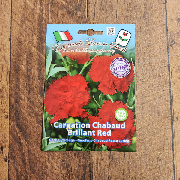 Carnation Chaubad Brilliant Red 