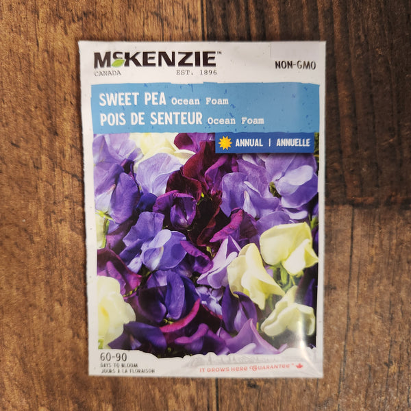 Sweet Pea Mix 'Ocean Foam'