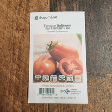 Organic Italian Tomato 'San Marzano'
