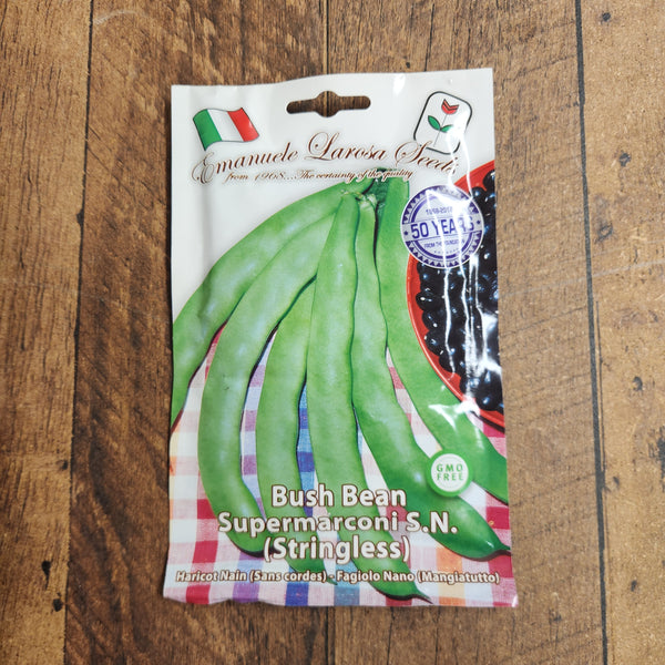 Bush bean 'Marconi S.N.'