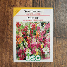 Snapdragon 'Panorama Mix' 