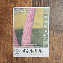 Corn 'Mini Pink Popcorn' Organic 