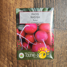 Organic 'Raxe' radish