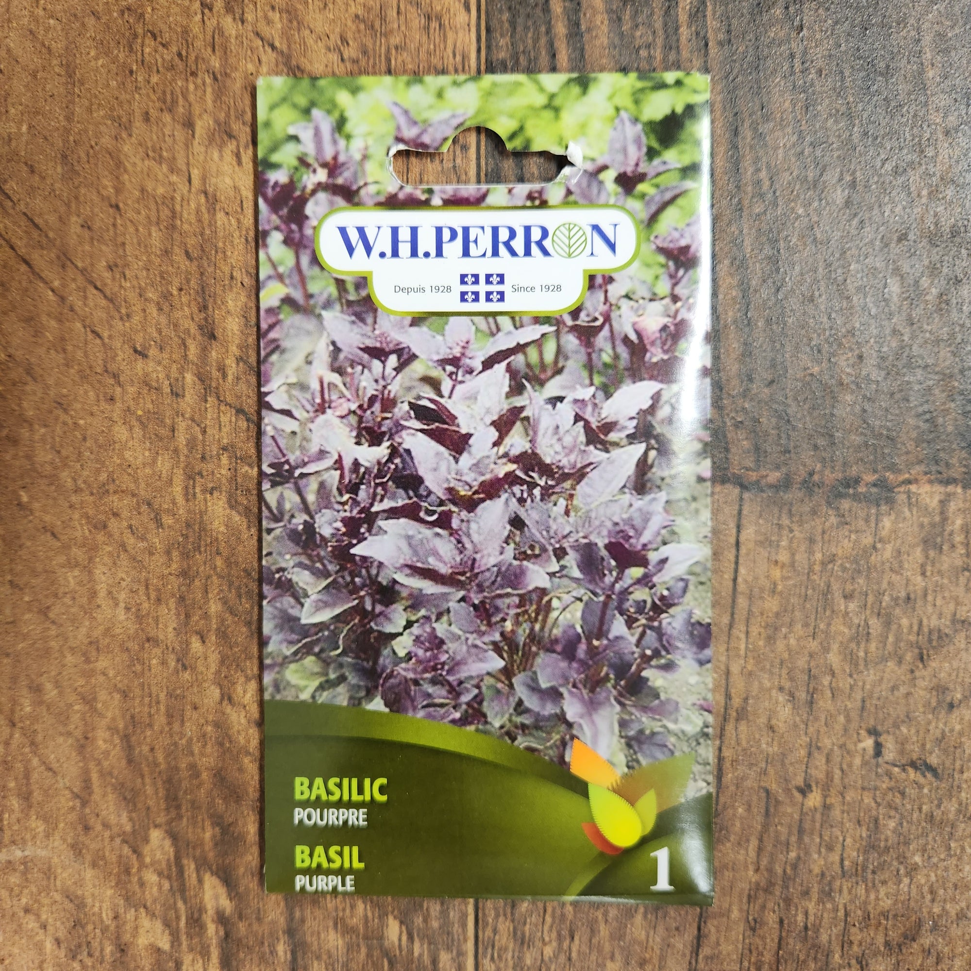 Purple Basil