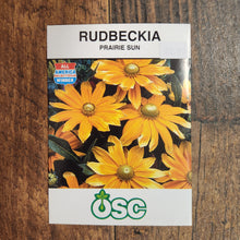 Rudbeckia 'Prairie Sun'