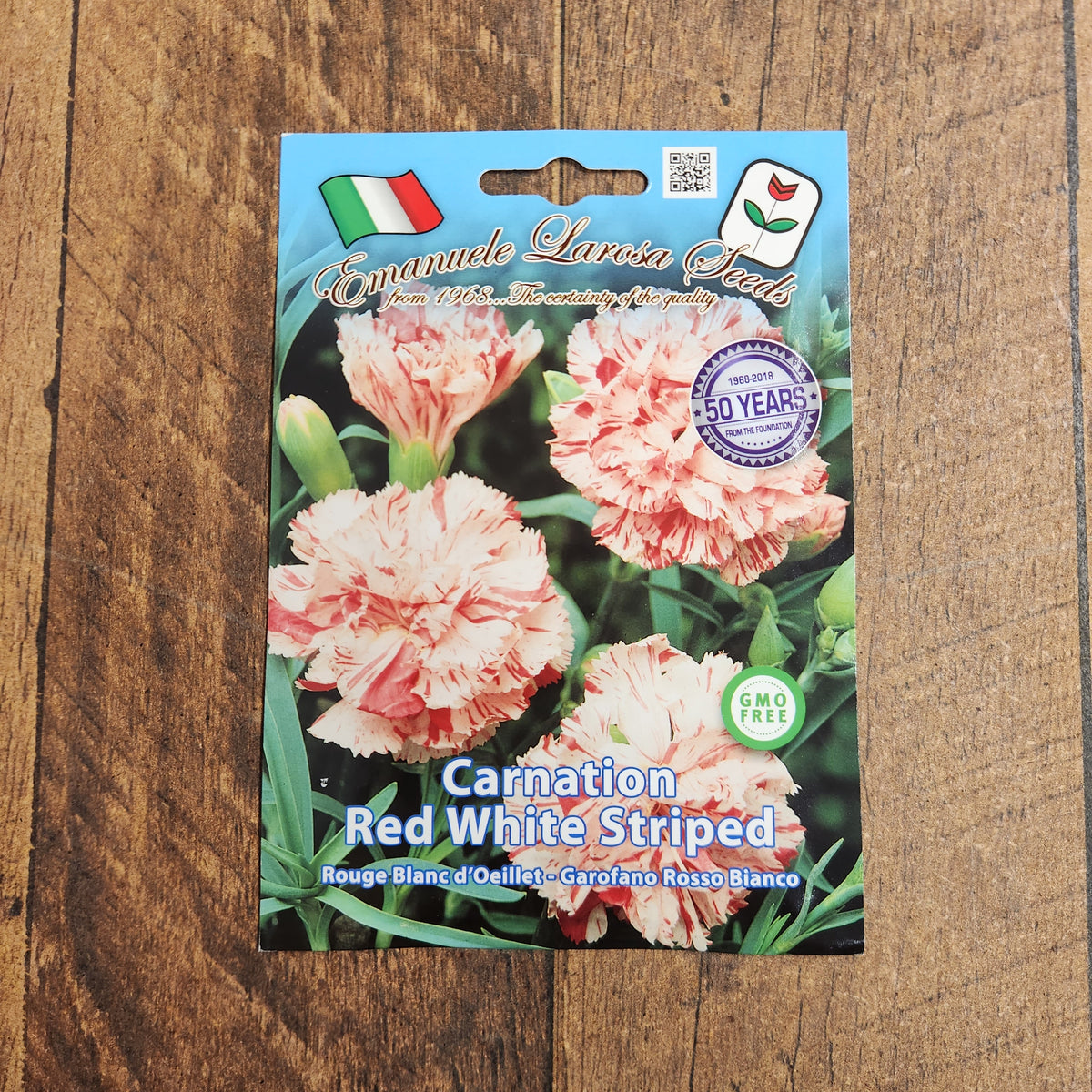 Giant white and red striped carnation