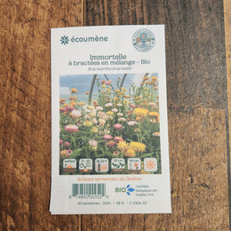 Immortelle à bractées en mélange bio