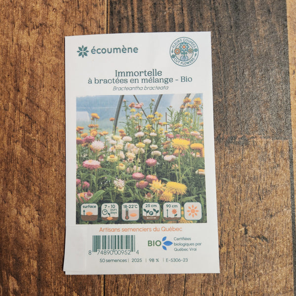 Organic immortelle with bracts mix