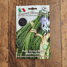 Pole bean 'Metre Long'