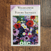 Wildflower Mix 'Partial Shade' 