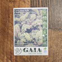 Chou frisé 'Curly Roja Kale' bio