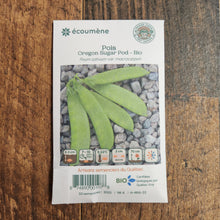 Organic 'Oregon Sugar Pod' Peas