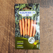 Carrot 'Little Finger' organic