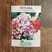Petunia 'All Glorious Double'