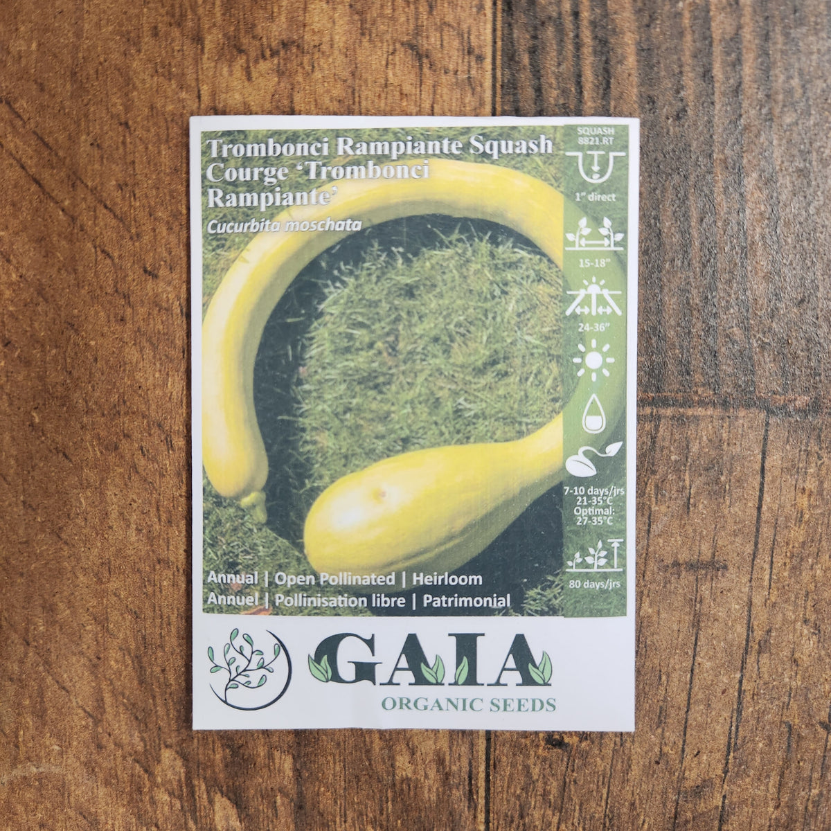 Squash 'Trombonci Rampiante' organic