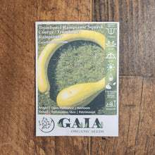 Squash 'Trombonci Rampiante' organic